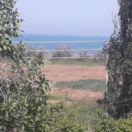 Bed and Breakfast Rey 2 Nabran Exteriér fotografie